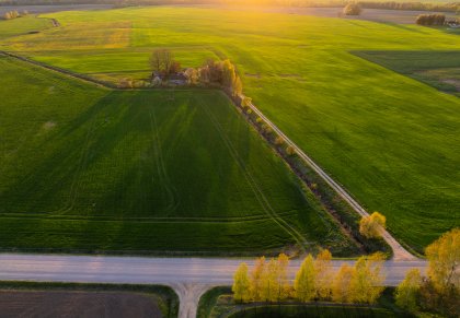 Svarbi žinia žemės ūkiui: dėl audros padarinių Vyriausybė skelbia valstybės lygio ekstremaliąją...