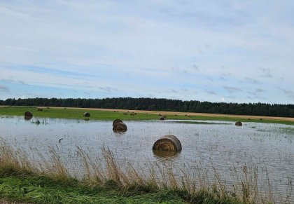 Vyriausybė paskelbė valstybės lygio ekstremaliąją situaciją: ką svarbu žinoti ūkininkams?