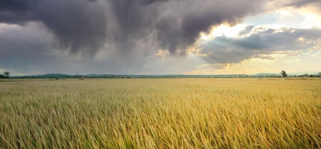 Nuo audros nukentėję ūkininkai kviečiami pranešti apie patirtą žalą
