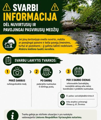 Svarbi informacija dėl nuvirtusių ir pavojingai pasvirusių medžių