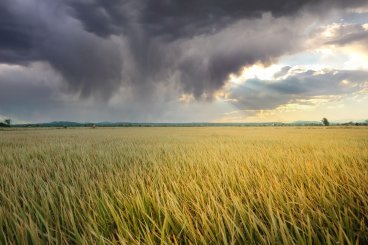 Nuo audros nukentėję ūkininkai kviečiami pranešti apie patirtą žalą